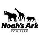 Noah Noah