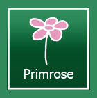 Primrose Primrose