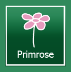 Primrose