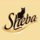 Sheba Sheba