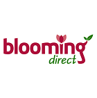 Blooming Direct Blooming Direct